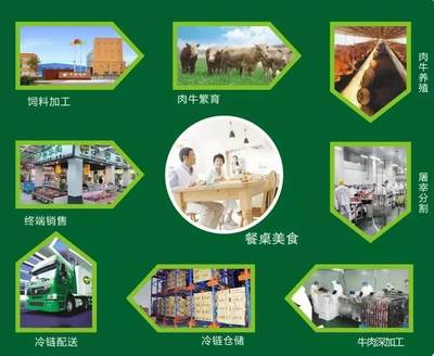 伊賽牛肉丨筑牢全產業鏈,推動中國品牌走向世界