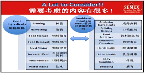 皮特范薄蔻:奶牛日糧平衡與營養難題及解答
