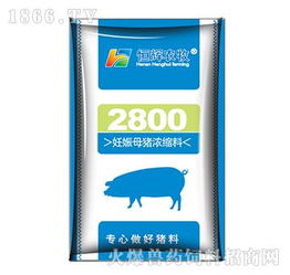 妊娠母豬濃縮飼料2800 提高母豬胚胎著床率 受胎率 分娩率及窩產活仔數 產品圖片