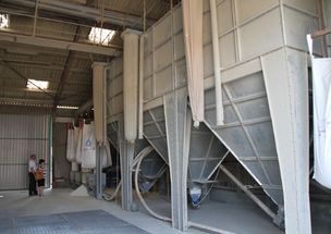 世界養豬第一強國 養1萬頭豬只需3人,不是美國