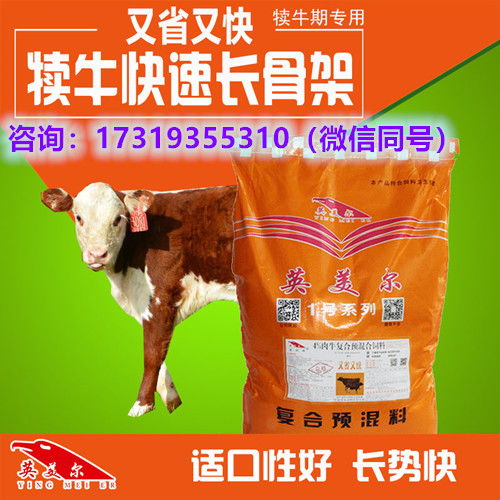 小牛幾個月可以喂飼料 多久斷奶