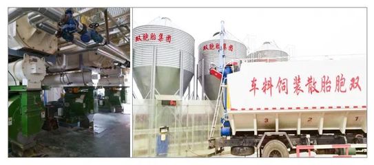 雙胞胎“公司+農戶”有什么優勢?合作要求有哪些?