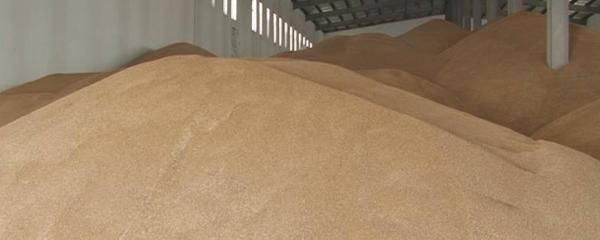 農村開什么加工廠投資小利潤大