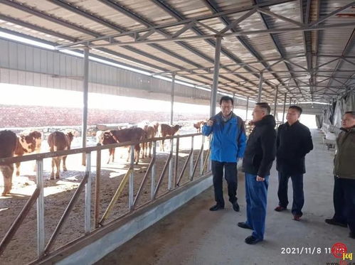 多措并舉 市農業農村局力保農業生產穩定