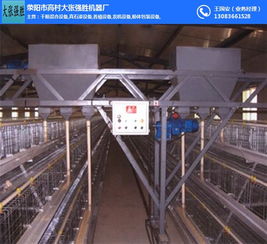 蛋雞上料機 大張強勝 三層三列蛋雞上料機