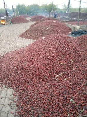 飼料添加劑生產企業,飼料添加劑生產企業工廠制造商,飼料添加劑生產企業產品,飼料添加劑生產企業交易平臺,飼料巴巴-中國飼料行業信息網商務平臺