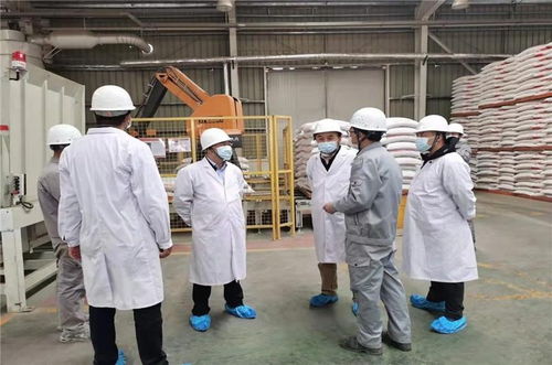 省市聯合開展飼料生產企業安全生產檢查